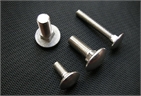 SS Carriage bolts